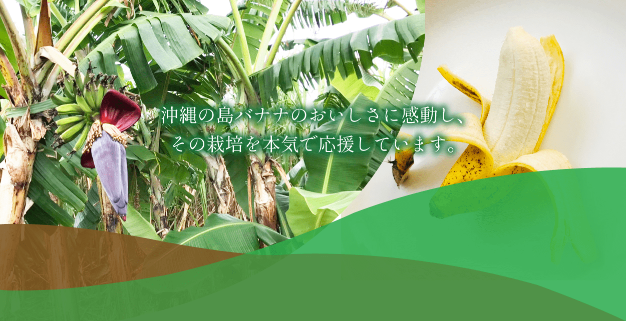 島バナナ協会の画像